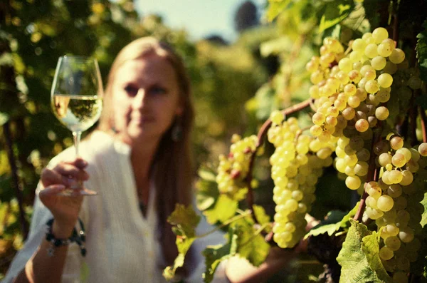 Girl tasting white wine among vineyards. — Stock Photo, Image