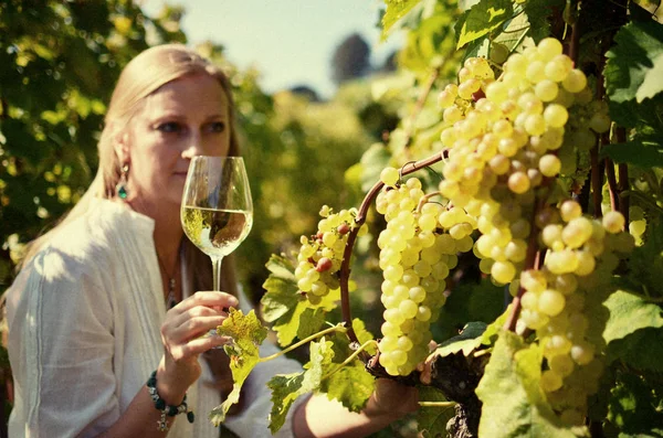 Girl tasting white wine among vineyards. — Stock Photo, Image