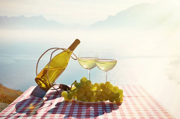Şarap ve üzüm seti — Stok fotoğraf