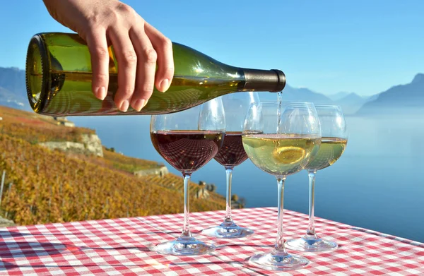 Gieten van wijn in Lavaux — Stockfoto
