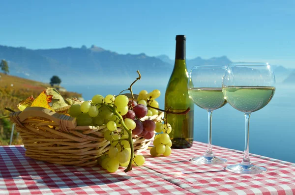 Weißwein und Trauben — Stockfoto