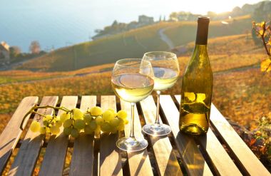 Gözlük ve üzüm şarap