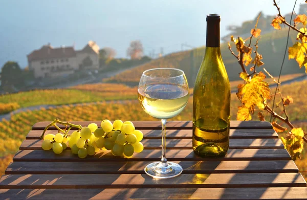 Vino in bicchiere e bottiglia e uva — Foto Stock