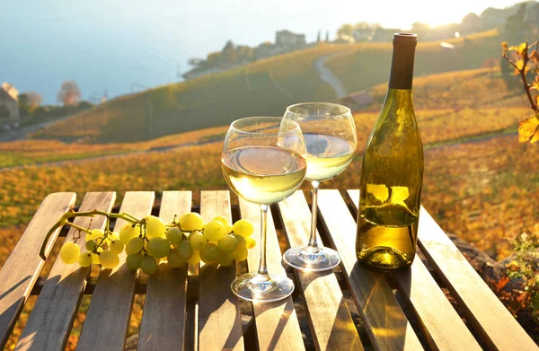 Gözlük ve üzüm şarap