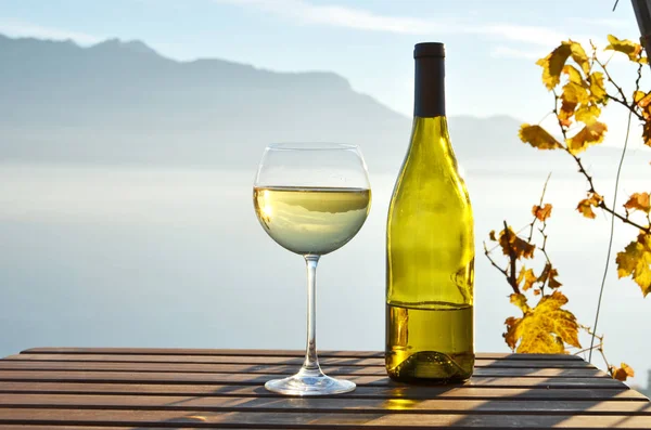 Вино из стекла, бутылки и винограда — стоковое фото