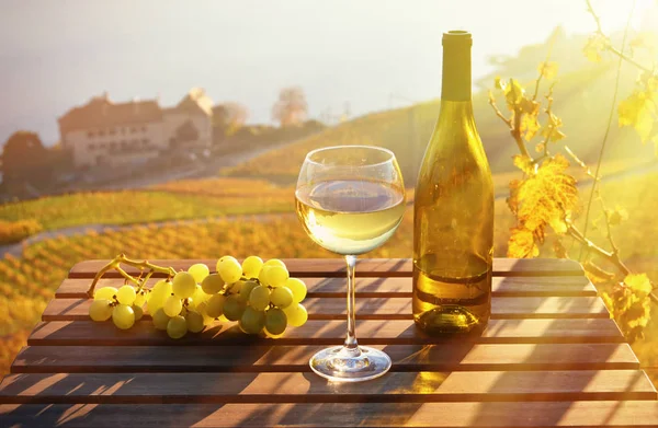 Wein in Glas und Flasche und Trauben — Stockfoto