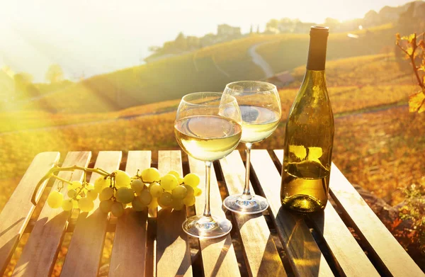 Wein in Gläsern und Trauben — Stockfoto