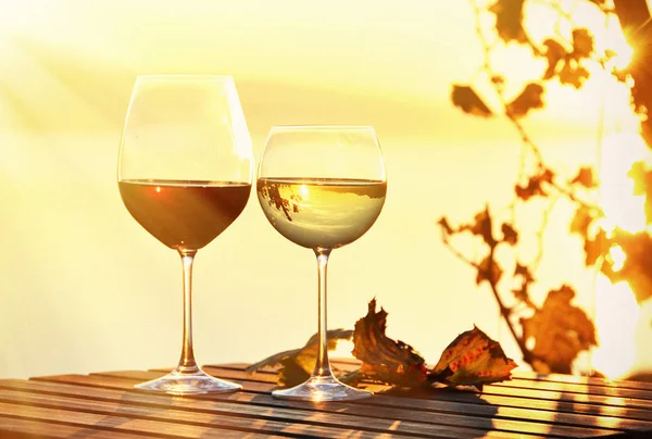 Dvě skleničky na víno — Stock fotografie