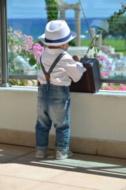 Denize bakarak bebek Gezgin