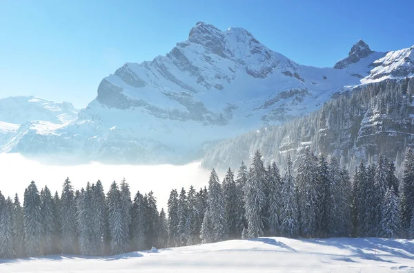 雪 Braunwald 景观 — 图库照片