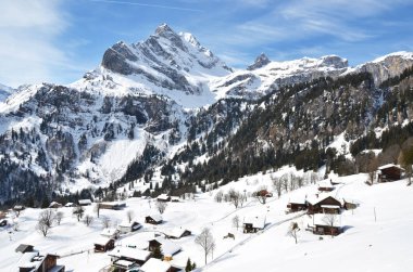 Karlı Braunwald doğal görünümünü