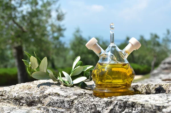 Láhev olivového oleje v olivovém háji. Sirmione, Itálie — Stock fotografie
