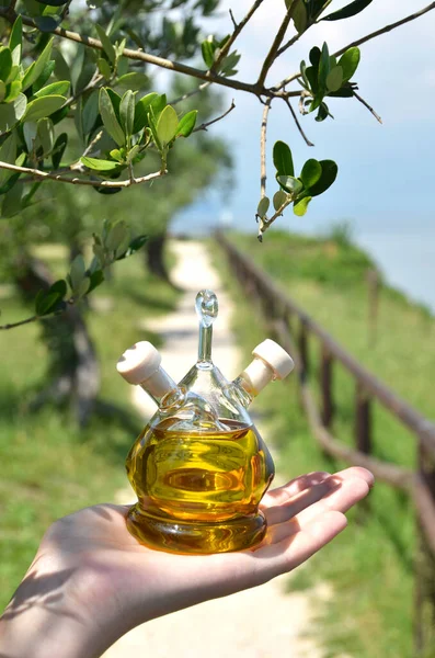 Bottiglia di olio d'oliva nell'oliveto. Sirmione, Italia — Foto Stock