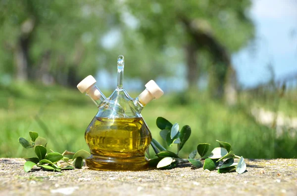 Láhev olivového oleje v olivovém háji. Sirmione, Itálie — Stock fotografie