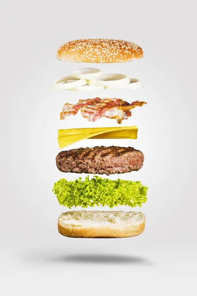 Kayan Burger izole 