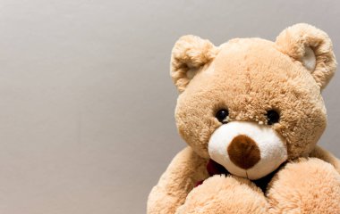 kahverengi ayıcık.