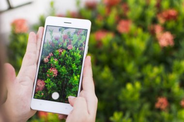 Küçük çocuk holding smartphone ve çekici fotoğraf.
