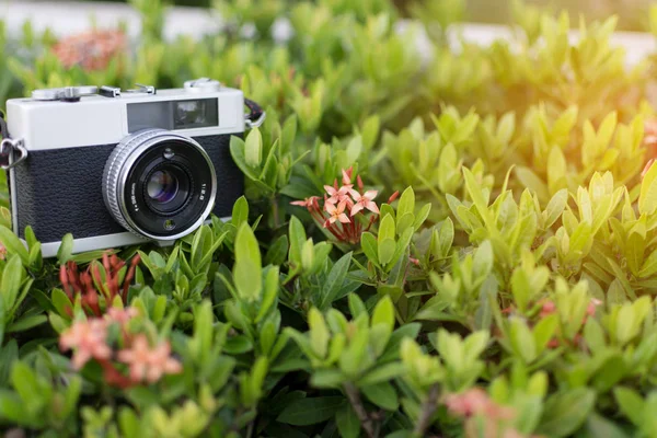Filmcamera in natuurlijke outdoor, vintage look. — Stockfoto