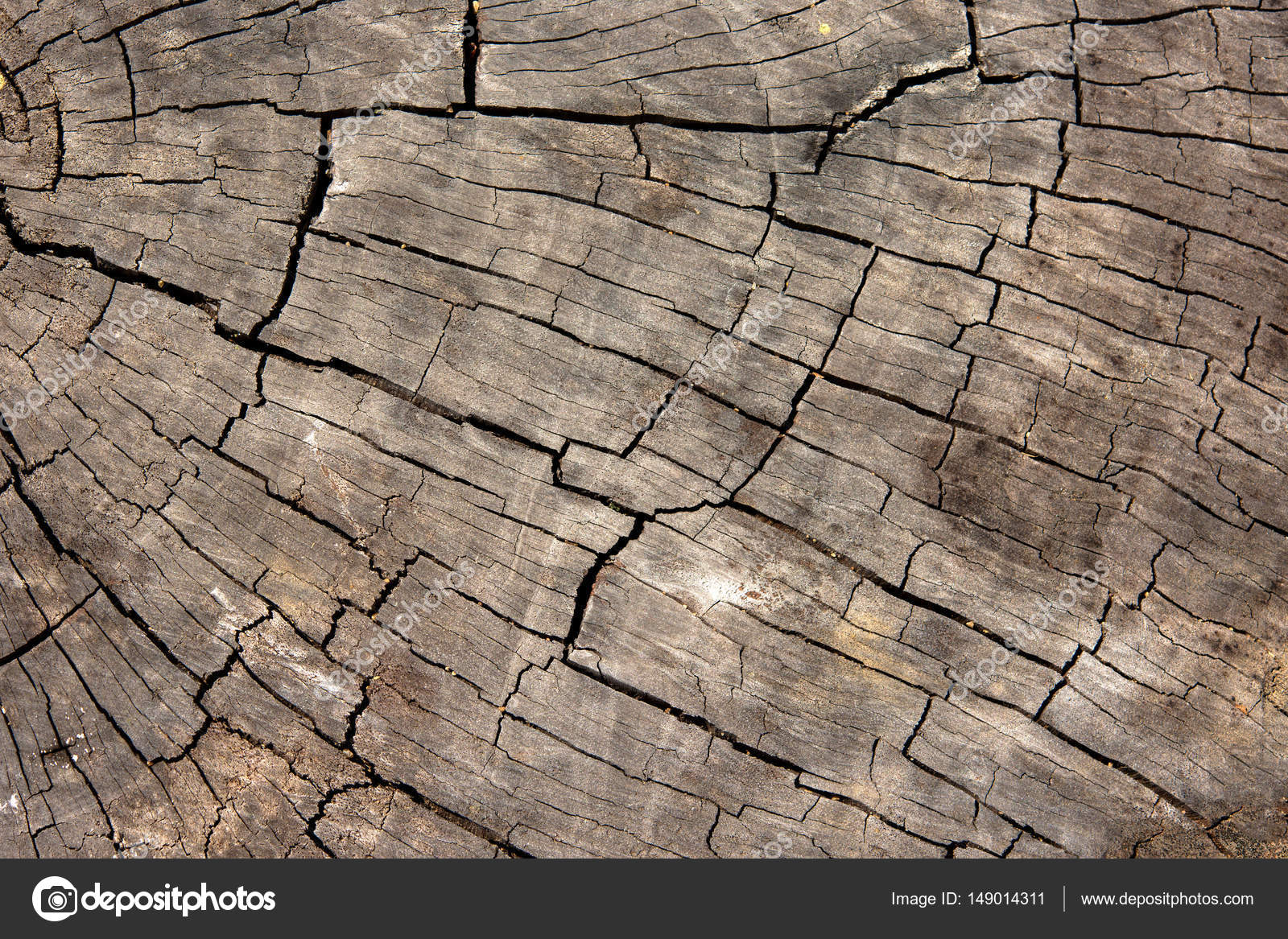 Old Wood Background Texture Wallpaper Stock Photo Image By C Thaistockphoto 149014311
