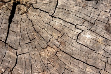 Eski ahşap arka plan doku, duvar kağıdı.