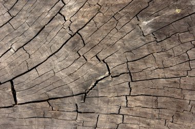 Eski ahşap arka plan doku, duvar kağıdı.