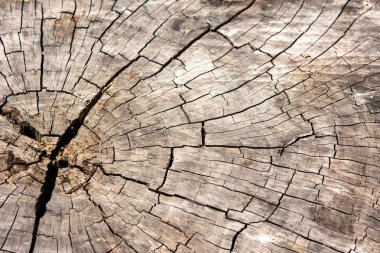 Eski ahşap arka plan doku, duvar kağıdı.