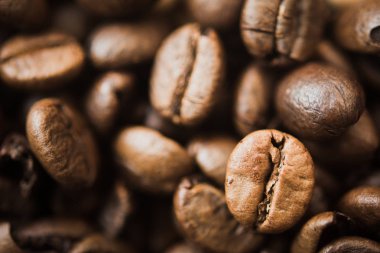 Kavrulmuş kahve çekirdekleri..