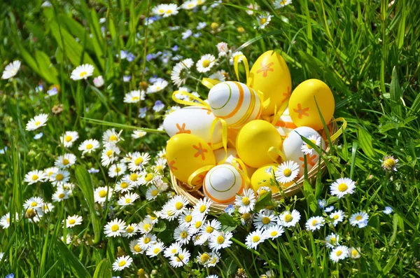 Easter Eggs Grass — Stock Photo, Image