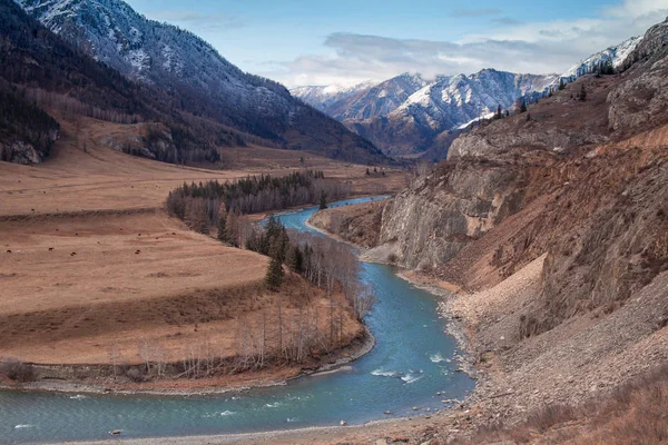 Bela Vista Vale Montanha Curva Rio Chuya Outono Altai Rússia — Fotografia de Stock