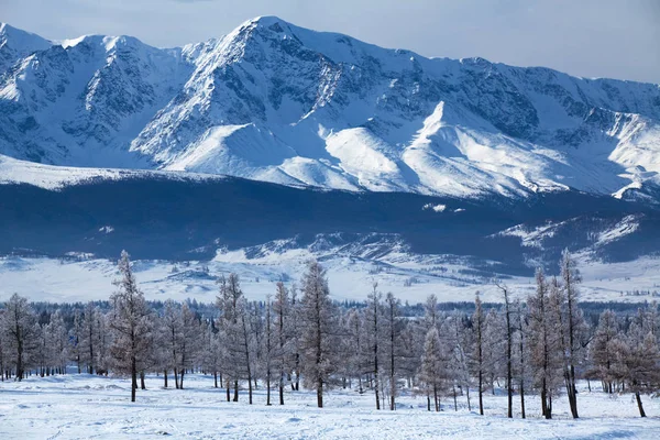 Landschap Uitzicht Besneeuwde Hellingen Van Het Altai Gebergte Oktober — Stockfoto