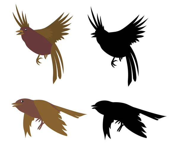 Vogels. Contour afbeelding — Stockvector