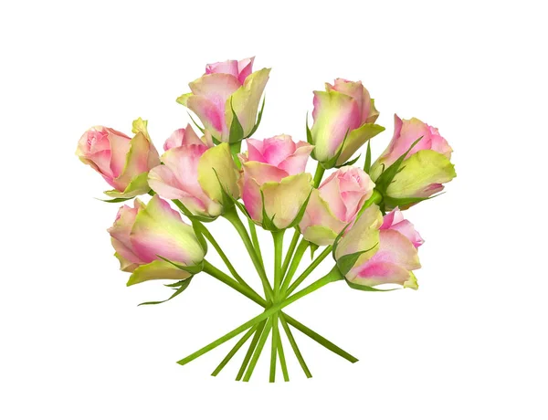Kytice z růžové růže — Stock fotografie