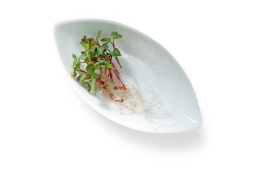 Sağlıklı beslenme için taze mikroyeşil küçük tabakta izole edilmiş.