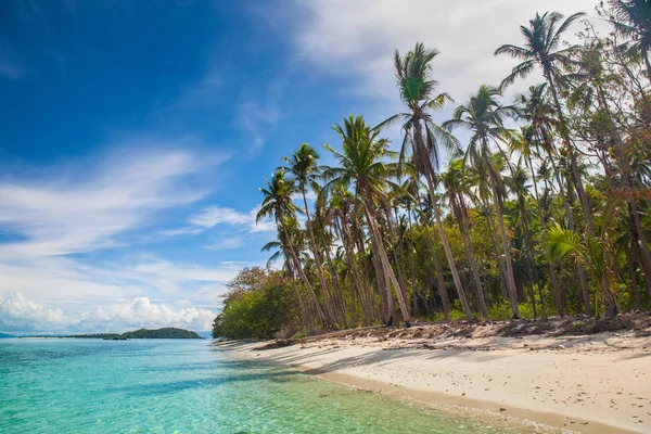 Красивый пляж с пальмами в Азии — стоковое фото