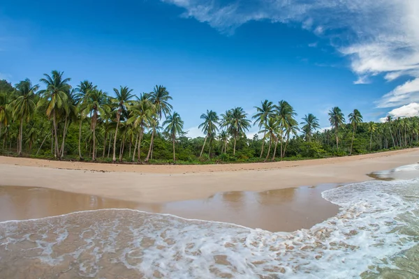 Hermosa playa con palmeras en Asia — Foto de Stock