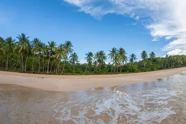 Hermosa playa con palmeras en Asia — Foto de Stock