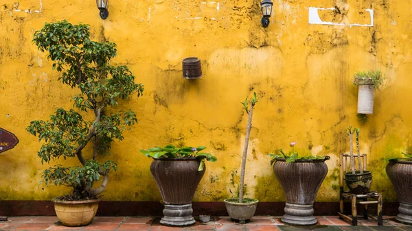 Dekorationen an Wänden in hoi an - Vietnam — Stockfoto