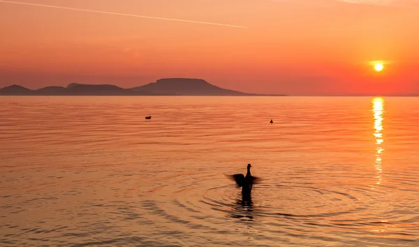 Salida del sol sobre el lago Balaton de Hungría — Foto de Stock