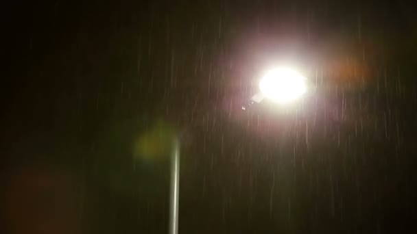 Regn om natten – stockvideo