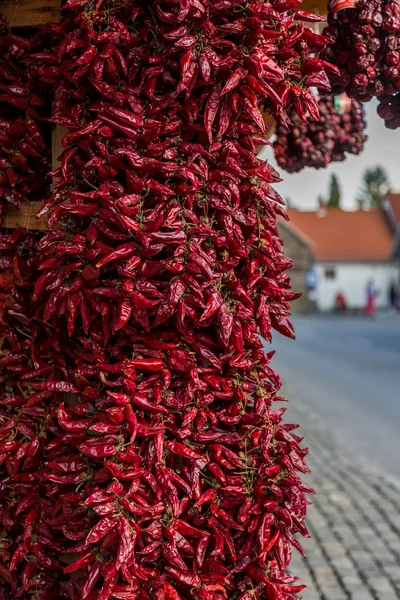 Kırmızı biber çelenk asılı — Stok fotoğraf