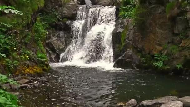 피레네 산맥 (스페인) 벨로 드 Nuria, 스페인의 피레네 산맥에서 산 골짜기에 강 세부 사항 — 비디오