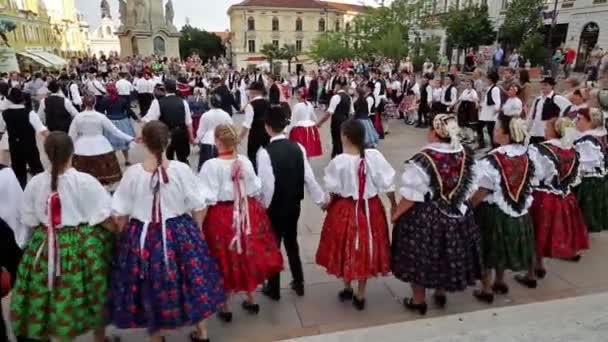 International Folklore Festival op 16 augustus 2016 in Hongarije, Pecs stad, — Stockvideo