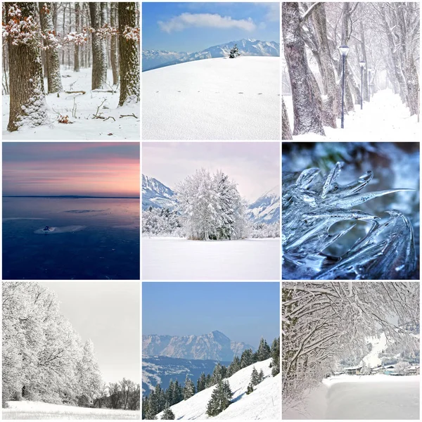 Collage de fotos de los días fríos de invierno — Foto de Stock