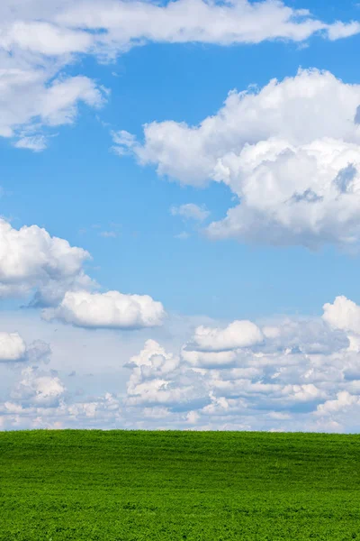 Prachtige groene veld met witte wolken — Stockfoto