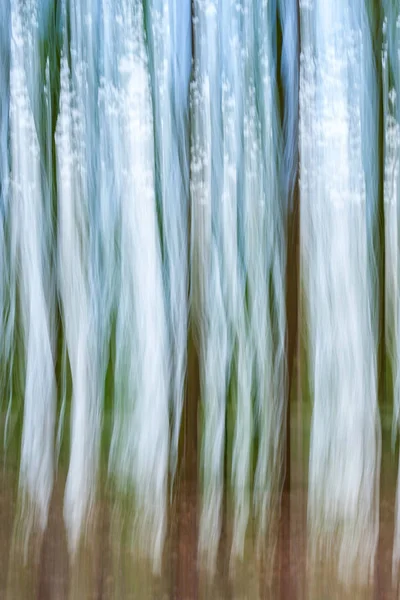 Sfocato astratto di una foresta in autunno — Foto Stock