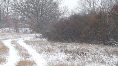 Kışın güçlü kar yağışı