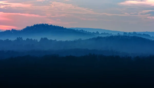 Puesta de sol sobre el bosque — Foto de Stock