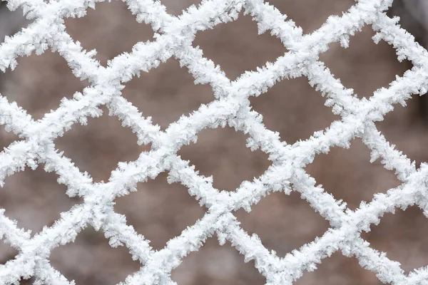 Gefrorener Zaun an einem kalten Wintertag — Stockfoto