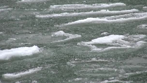 Bloques de hielo en el agua en el lago Balaton de Hungría — Vídeos de Stock