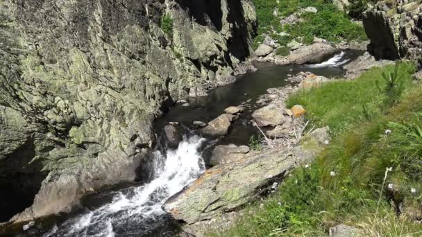 Small creek in the mountain Pyrenees — Stock Video